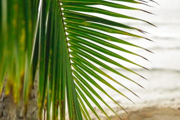 web-photos-slider_6